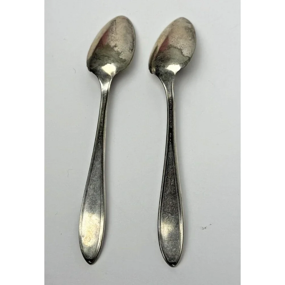Oneida Community Par Plate 2 Fruit Spoons Bridal Wreath Antique Silverplate 1915